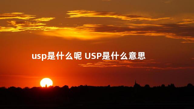 usp是什么呢 USP是什么意思